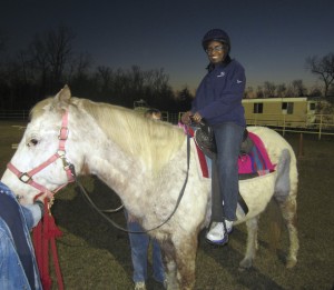 Horse in around